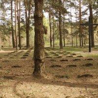 Немецкое кладбище I мировой войны :: Мила 