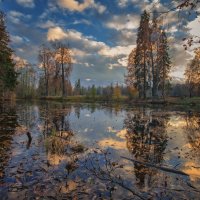 Шуваловский парк. Осень. Закат. :: Андрей Кротов