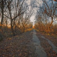 Осень. Закат. :: Андрей Кротов