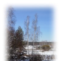 зимний пейзаж :: BEk-AS 62