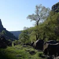 Утро в ущелье :: Елена Васильева