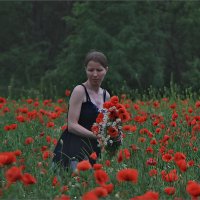 "Красные маки в поле зелёном радуют душу и сердце..." :: Ольга Ламзина