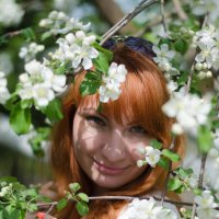 Spring Flower :: Ольга Ионова