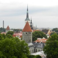 Башни старого Таллина :: Наталья Левина