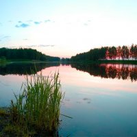 вечером у озера :: Rozenkov 