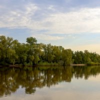 В тихой воде. :: Дмитрий Климов