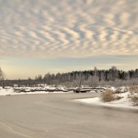 первое весеннее утро :: Игорь 