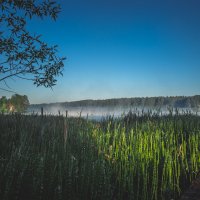 Золотое утро :: Митя Шишкин