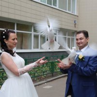 Свадебные голуби :: Владимир Карлов