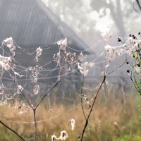 Крайний дом :: Валерий Талашов