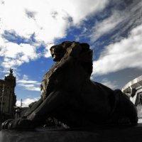 Лев, охраняющий памятник Колумбу :: Полина Калинкина