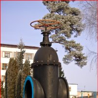 Памятник водопроводному крану :: Олег Каплун