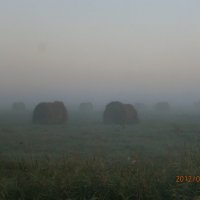 туман в поле :: Виктория Семенова