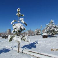 Под голубыми небесами Великолепными коврами, Блестя на солнце, снег лежит. . :: Венера Цой