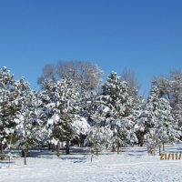 Какое небо голубое! Воздух легок и чист. :: Венера Цой