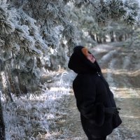 В зимнем лесу. :: Анатолий Дорофеев