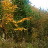 На том краю замедленного жеста... :: Николай Глазьев