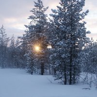 скоро солнышка не будет.... :: вадим измайлов