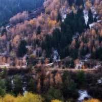 Осенняя пастель в горах... :: Kенжебек Токочев