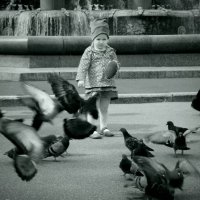 Девочка и голуби :: Анна Кокоткина