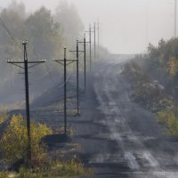 И все таки она наша... :: Андрей Пальцев