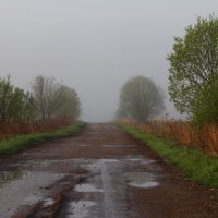 Дорога в туман :: Сергей Бесов