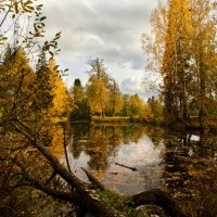 Осенний пейзаж. :: Анна Тихомирова