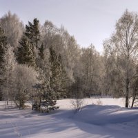 Зимний пейзаж :: Виктор Ковчин