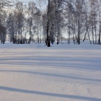 Утро на зимней поляне :: Николай Мальцев