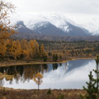 Алтай. Улаганский заповедник :: Анастасия Куртукова