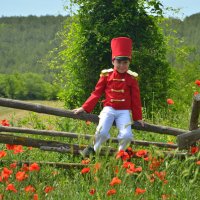 Гусар . :: Елена Залерцева