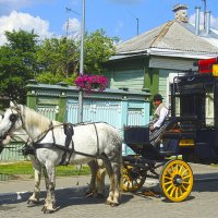 Омнибус на водопое :: Фома Антонов