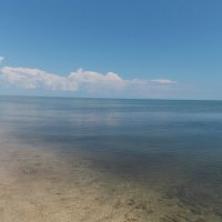 Азовское море :: Ольга 