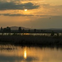 sunset on the lake :: Dmitry Ozersky