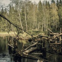 Мост в лесу.. :: Сергей Зыков