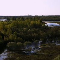 Берег реки Сысола :: Виталий Житков