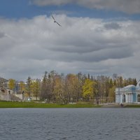 Екатерининский парк (Царское Село) :: Валерий Иванов