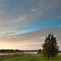 Этюд весенний... :: Александр Никитинский