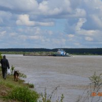 Береговой патруль :: Николай Воробьёв 