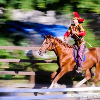 Фото с проводкой (в движении) :: Андрей Подопригора