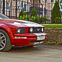 Mustang :: Александра Зайцева