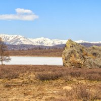 На Улаганских озерах. :: Галина Шепелева