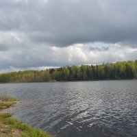 Поддубское озеро (май) :: Владимир Фомин