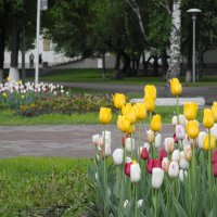 Городские аллейки :: Denis Sorochan