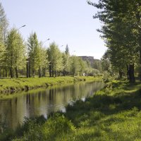 Река в старом парке почти высохла :: Наталья Отраковская