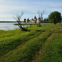 Берег Сиверского озера :: Алексей Крупенников