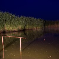Ночная рыбалочка :: Veronika Mischenko
