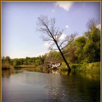 Река Битюг в мае. :: Ольга Кривых