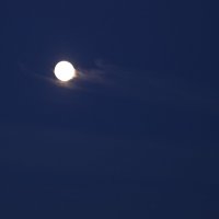 Луна на облаках :: Виталий Житков