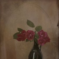 The rose. :: Елена 